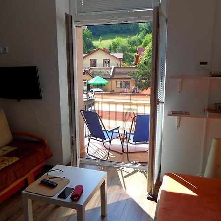 Apartament Kraszewskiego 克雷尼察 外观 照片