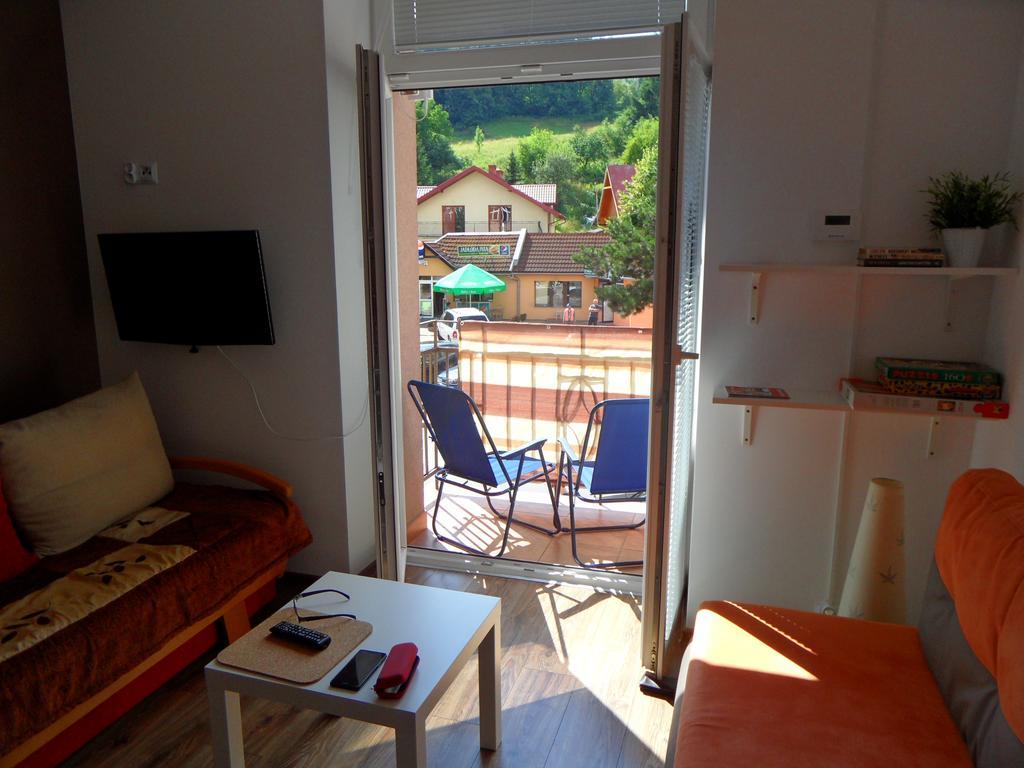 Apartament Kraszewskiego 克雷尼察 外观 照片